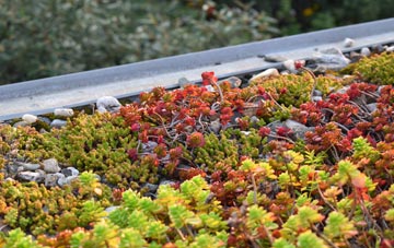 the cost of Stinsford green roof installation