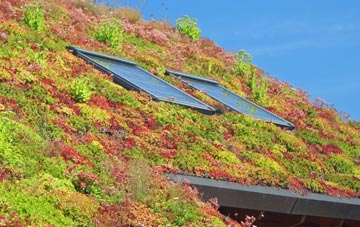 Stinsford living roof systems