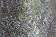 Stinsford fibreglass roof work